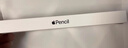 Apple/蘋(píng)果 Pencil(USB-C) 磁吸觸控筆手寫(xiě)筆蘋(píng)果筆電容筆ipad筆 適用iPad 11/mini/Pro/Air 曬單實(shí)拍圖