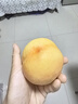 遼唯贊新鮮現摘葫蘆島綏中 東戴河 脆甜黃油桃 3斤（6-9個(gè)）彩色禮盒裝 曬單實(shí)拍圖