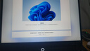 聯(lián)想拯救者Y7000P 2025 AI元啟游戲筆記本電腦(i9-14900HX 16G 1T RTX5070 2.5K 240Hz 黑)國家補貼20% 曬單實拍圖