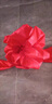 佳妍大紅花球 退伍開(kāi)業(yè)綢帶花球結婚車(chē)頭花裝飾慶典剪彩揭幕紅布50cm 曬單實(shí)拍圖