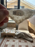 馬印燕屋 燕窩干盞溯源密盞干燕窩50g禮盒裝金絲燕白燕盞孕婦滋補中秋禮盒 曬單實(shí)拍圖