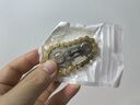 齒輪鏈條指尖陀螺機械鏈齒無(wú)聊把玩減壓神器成人EDC解壓金屬玩具 【空心款】金鏈條+銀齒輪 贈小螺絲刀 曬單實(shí)拍圖