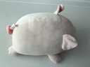 名創(chuàng  )優(yōu)品（MINISO）小豬柴犬狗抱枕靠枕床頭靠墊趴睡枕沙發(fā)卡通可愛(ài)軟沙發(fā)布藝擺件 BOBO豬抱枕 曬單實(shí)拍圖