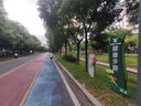 李寧赤兔8PRO 跑步鞋男鞋透氣肖戰同款馬拉松體測運動(dòng)鞋ARPV003 曬單實(shí)拍圖