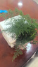文竹盆栽植物室內(nèi)花卉盆景客廳辦公室桌面小綠植好養(yǎng)云竹四季常青 精品文竹+冰釉淺綠盆+圓底托+苔蘚 曬單實(shí)拍圖