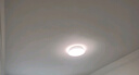 飛利浦（PHILIPS）臥室客廳吸頂燈全光譜護眼智能接入米家APP流螢36W[包安裝] 曬單實(shí)拍圖
