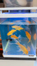 備能魚(yú)缸凈水劑長(cháng)效高分子聚合物凈水片魚(yú)缸清潔除垢劑水質(zhì)凈化澄清劑 曬單實(shí)拍圖