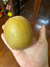 佳沛（zespri）新西蘭  陽(yáng)光金果10粒巨大果單果約144-175g 中秋水果禮盒 獼猴桃 曬單實(shí)拍圖