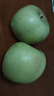 山東蘋(píng)果金帥青蘋(píng)果酸甜脆甜多汁新鮮應季水果孕婦兒童整箱果園 帶箱1斤（60-65mm） 曬單實(shí)拍圖