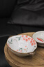舍里日式陶瓷小碟子蘸料碟前菜碟復古早餐盤(pán)淺口碗異形碟子餐廳涼菜盤(pán) 紅果-4.75英寸雙耳碟 健康釉下彩|可進(jìn)四機 曬單實(shí)拍圖