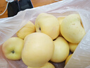 澤華果品山東煙臺棲霞奶油蘋(píng)果牛奶蘋(píng)果水果送禮團購源頭直發(fā)包郵 凈重4.5-5斤單果80mm+ 源頭直發(fā) 曬單實(shí)拍圖