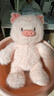 名創(chuàng  )優(yōu)品（MINISO）福莉絲豬系列-乖乖坐姿公仔毛絨玩具玩偶抱枕娃娃生日禮物女 曬單實(shí)拍圖