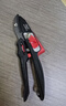 德力西電氣（DELIXI ELECTRIC）園藝剪刀剪樹(shù)枝專(zhuān)用剪刀花藝剪園林果樹(shù)修枝剪 【加強款8寸】 曬單實(shí)拍圖