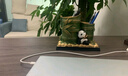 冠珺號創(chuàng  )意熊貓筆筒節節高升家居桌面擺件辦公桌實(shí)用工藝品女生生日禮物 博學(xué)雙筆筒【京東物流】 曬單實(shí)拍圖