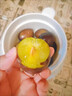 優(yōu)味集正宗西梅新鮮水果應季脆甜藍蜜孕婦李子甘肅特產(chǎn)節日送禮整箱 3斤嚴選中果（單果15-20g） 曬單實(shí)拍圖