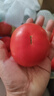 【超市精選】山東沙瓤水果西紅柿新鮮番茄蔬菜減肥單果100g起 西紅柿中大果 4斤 帶箱 曬單實(shí)拍圖