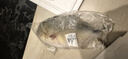 北海灣 新鮮海捕金鯧魚(yú) 大鯧魚(yú)海鮮平魚(yú)冷凍扁魚(yú)冰鮮大鯧魚(yú)海魚(yú)銀魚(yú)魚(yú)類(lèi) 【凈重600-800克/條】 共4條 曬單實(shí)拍圖