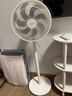 美的（Midea）電風(fēng)扇 家用七葉立式落地扇宿舍臥室輕音節能搖頭桌面小風(fēng)扇大風(fēng)力空氣循環(huán)風(fēng)扇 SAF30AC  曬單實(shí)拍圖