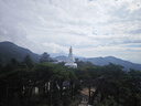 植護悅色橙面巾紙懸掛式4層320抽*8提餐巾紙廁紙擦手大尺寸整箱衛生紙 曬單實(shí)拍圖