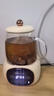 小熊（Bear）養生壺迷你養生杯辦公室杯墊小型分體式煮茶壺煮茶器燒水壺電熱水壺玻璃花茶壺 0.4L YSH-Q04E5  曬單實(shí)拍圖
