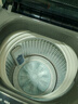 海爾（Haier）波輪洗衣機(jī)小型全自動(dòng)8KG家用XQB80-Z10D0京東自營(yíng)家電國(guó)家補(bǔ)貼以舊換新一級(jí)能效宿舍出租房單脫水 曬單實(shí)拍圖