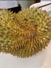京鮮生 進(jìn)口金枕頭榴蓮 凈重4-5斤 1個(gè)裝  鮮果 生鮮 新鮮水果 曬單實(shí)拍圖