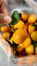 顧果鮮廣西砂糖橘當季時(shí)令新鮮水果金秋沙糖桔砂糖蜜橘桔子柑橘整箱生鮮 5斤優(yōu)選果凈重4.5斤 曬單實(shí)拍圖