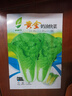 【隨種隨吃】快菜四季奶油快菜耐熱抗病蔬菜快速生長(cháng)蔬菜種子 快菜種子 1包約1000粒 曬單實(shí)拍圖