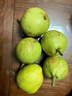 青櫻紅荔 云南呈貢寶珠梨 高山蜂糖梨子萬(wàn)溪梨鎮老樹(shù)香梨當季新鮮水果脆甜 5斤【大果6-7顆】推薦裝 曬單實(shí)拍圖