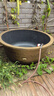 時(shí)光舊巷特大花盆大口徑大碼加厚塑料樹(shù)脂荷花睡蓮盆可種樹(shù)盆景鐵樹(shù)水缸 圓形150(外徑150cm高68cm) 底部無(wú)孔（種荷花） 曬單實(shí)拍圖