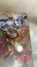 京喜自營(yíng)-專(zhuān)用品牌安徽中華草龜外塘純種金線(xiàn)觀(guān)賞水龜情侶招財墨龜寵物小龜活物 網(wǎng)紅壯苗龜(贈龜糧) 2-3厘米 曬單實(shí)拍圖