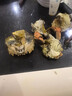 東上御品蝦 青島大蝦基圍蝦鮮活青蝦白蝦海蝦對蝦冰蝦凍蝦生鮮 蝦類(lèi) 海鮮 3斤(凈重)  氣凍大蝦【活蝦速凍】 17-21cm【特大蝦皇】 曬單實(shí)拍圖