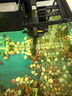 YEE魚(yú)缸三合一水泵上過(guò)濾增氧抽水過(guò)濾系統頂濾外置濾盒循環(huán)潛水泵 25W【吸盤(pán)+夾片式】裸泵/適合60cm以上魚(yú)缸 曬單實(shí)拍圖