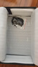 金利來（Goldlion）男鞋商務皮鞋沖孔透氣舒適百搭休閑鞋G539410008AAD黑色40 曬單實拍圖