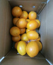 庾豐 江西贛南臍橙新鮮橙子  新鮮水果整箱孕婦手剝橙 當季現摘贛州橙 10斤裝-凈果9斤 單果110-220g 源頭產(chǎn)地直發(fā) 品質(zhì)甄選 曬單實(shí)拍圖
