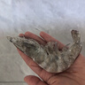 鮮京采 厄瓜多爾白蝦 凈重3斤/盒 特大號20-30規格   30-45只/盒 曬單實(shí)拍圖