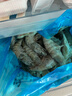 禧美海產(chǎn) 厄瓜多爾巨無(wú)霸白蝦 去冰凈重3斤 30-40只/kg 鹽凍大蝦 海鮮水產(chǎn) 曬單實(shí)拍圖