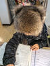 恒源祥小浣熊皮草帽子美洲貉霸王帽冬季保暖兒童親子狐貍毛皮草帽子 進(jìn)口美洲貉天然原色 S(54-56cm)兒童均碼3歲戴到13歲 曬單實(shí)拍圖