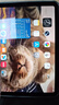 Apple 蘋果 iPad Mini 2/3/4/5/6/7代 2022/2021款 二手平板電腦 iPad mini7 曬單實(shí)拍圖