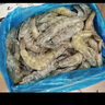 鮮京采 原裝進(jìn)口厄瓜多爾白蝦 凈重3.3斤 大號30-40規格 50-66只/盒 曬單實(shí)拍圖