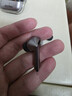 三星 Samsung【國家補貼】Buds3 Pro 自適應(yīng)主動降噪無線藍牙耳機/運動耳機/AI同傳翻譯耳機 星際銀 曬單實拍圖