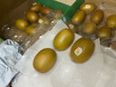 佳沛（zespri）新西蘭  陽(yáng)光金奇異果10粒禮盒巨大果單果約144-175g 水果 獼猴桃 曬單實(shí)拍圖