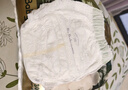 babycare金山茶花拉拉褲L38片(9-14kg)嬰兒尿不濕超薄透氣新生柔花苞褲 曬單實(shí)拍圖