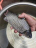 泡泡球餌料魚(yú)餌第一名主攻鯉魚(yú)鯽魚(yú)黃辣丁翹嘴魚(yú)羅非野釣黑坑專(zhuān)用 黑+金【一包】一斤 曬單實(shí)拍圖