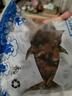 繽鮮 特大金蠔干新鮮大生蠔干貨 海蠣子牡蠣海鮮 山東特產(chǎn)煲湯生曬淡 精選大號蠔干 凈 250克約100-120/個(gè) 曬單實(shí)拍圖