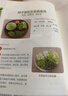 驚人的蔬菜湯（讓身體恢復(fù)元?dú)獾尼t(yī)療級(jí)蔬菜湯）   曬單實(shí)拍圖