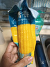 穗康黃糯玉米新鮮4.5斤真空包裝粗糧代餐營(yíng)養早餐 曬單實(shí)拍圖