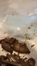 葷八廚 鴨脖2斤凈重 鴨貨生鮮鴨肉鴨子鴨脖子鹵菜燒烤火鍋食材冷凍食品 曬單實(shí)拍圖