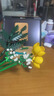 樂(lè )高（LEGO）積木拼裝10313 繁花男孩女孩玩具生日禮物 曬單實(shí)拍圖