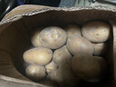 牛愛(ài)鮮 黃心土豆新鮮洋芋馬鈴薯黃皮應季蔬菜整箱優(yōu)質(zhì)土豆現摘美味蔬菜 5斤【現挖現發(fā)】品質(zhì)裝凈重4.5斤 農家現挖蔬菜 曬單實(shí)拍圖